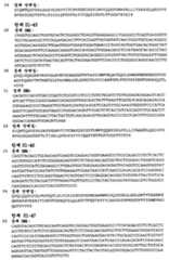 Figure 112008046186434-PCT00015