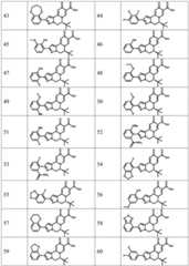 Figure FDA0003141290400000091