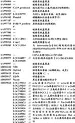 Figure BDA0000057170160000821