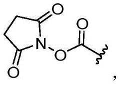 Figure BDA0002889616220000211