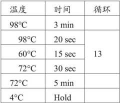 Figure BDA0002885618580000121