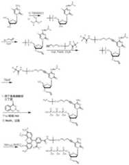 Figure BDA0003670511740004731