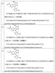 Figure 113105161-A0202-12-0058-97