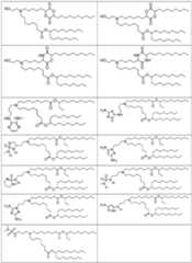 Figure imgf000027_0001