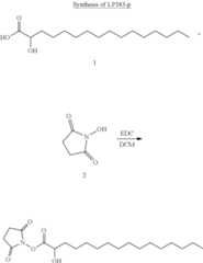 Figure US11912997-20240227-C00242