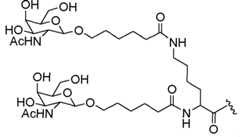 Figure imgf000361_0002