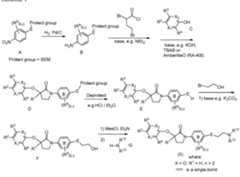 Figure imgf000030_0001