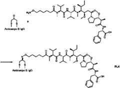 Figure imgf000026_0001