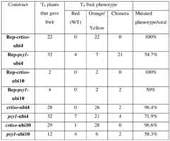 Figure imgf000057_0001