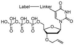 Figure imgf000080_0001