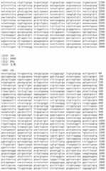 Figure IDA00002091897101721