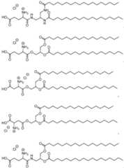 Figure imgf000126_0001