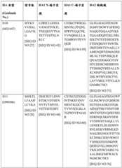 Figure BDA0004089703340000811