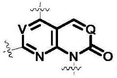 Figure BDA0002861043520000595