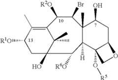 Figure US07202370-20070410-C00014