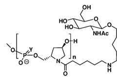 Figure imgf000116_0001