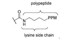 Figure imgf000096_0003