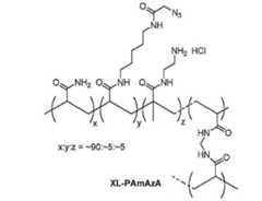 Figure 0007095041000061