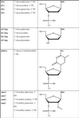Figure AU2013315225B2_D0036