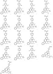 Figure PCTCN2018071699-appb-000019