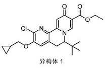 Figure 726300DEST_PATH_IMAGE260