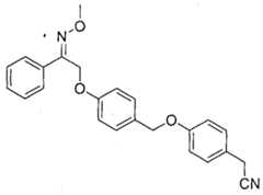 Figure imgf000009_0002