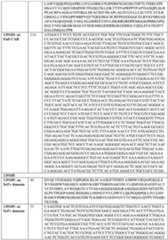 Figure imgf000106_0001