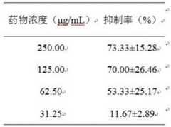 Figure BDA0002403973800000051