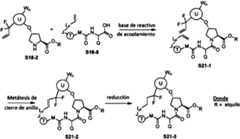 Figure imgf000031_0001