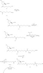 Figure US08106022-20120131-C00104