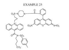 Figure imgf000079_0001