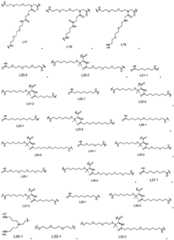 Figure BDA0002642358900000081