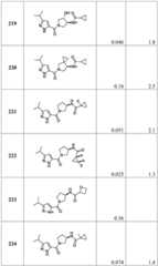 Figure BDA0001316473010002011