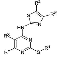 Figure 112008039273174-PCT00019