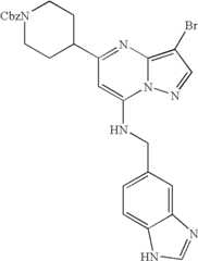 Figure US07119200-20061010-C01307