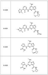 Figure imgf000376_0001