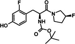 Figure BPA00001431230500303