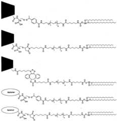 Figure imgf000066_0001