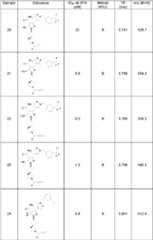 Figure imgf000011_0001