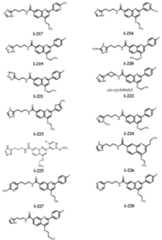 Figure imgf000091_0001