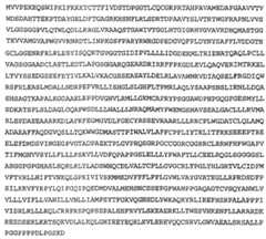 Figure 112013088873035-pat00100