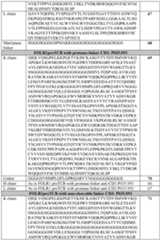 Figure imgf000109_0001