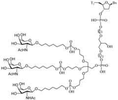 Figure imgf000147_0001