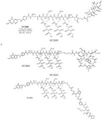 Figure imgf000115_0001