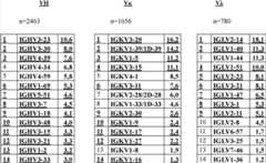 Figure GDA00002114610301481