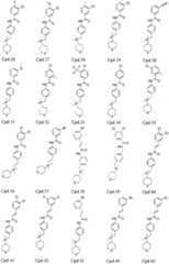 Figure 112007005999643-pct00013