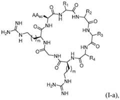 Figure imgf000010_0002