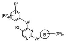 Figure 112016119396583-pat00019