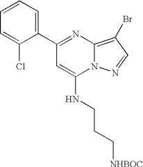 Figure US07119200-20061010-C01359