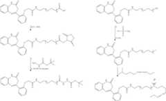 Figure US08618265-20131231-C00213